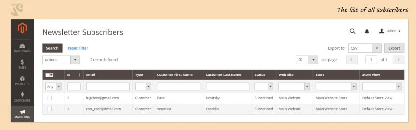 Newsletters in Magento 2.0 screen 111 850x267