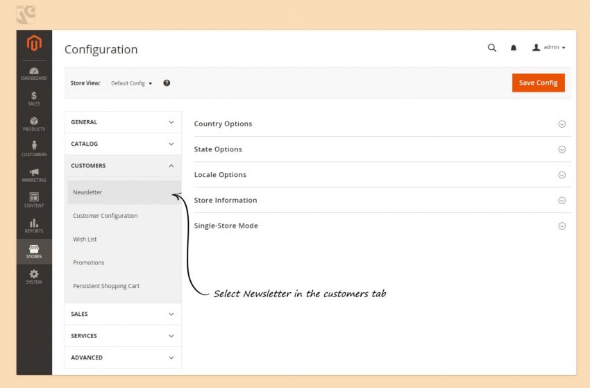 Newsletters in Magento 2.0 screen 22 850x559