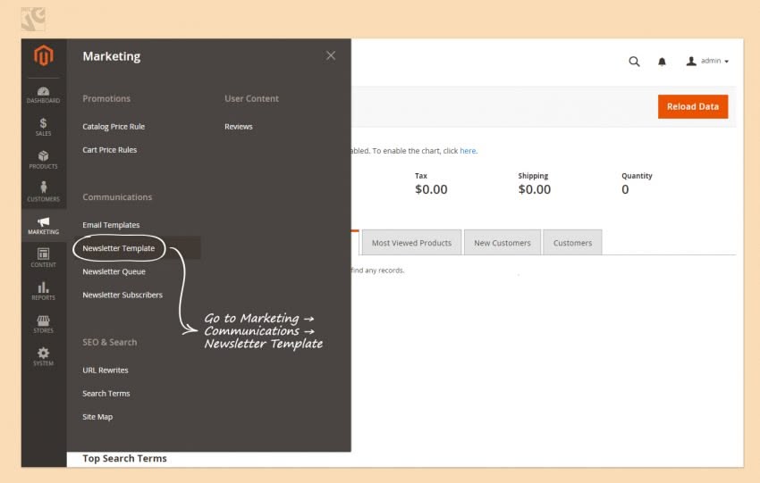 Newsletters in Magento 2.0 screen 42 850x541
