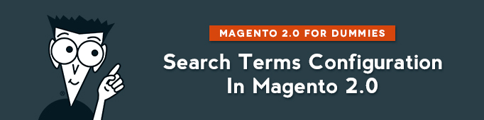 Search Terms Configuration in Magento 2.0