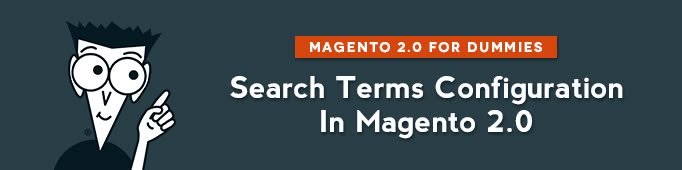 Search Terms Configuration in Magento 2.0