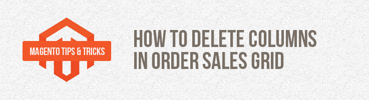 How to Delete Columns in Sales Grid