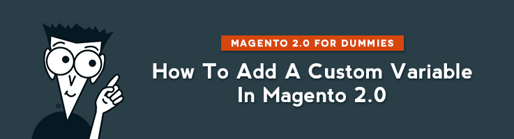 How to Add a Custom Variable in Magento 2