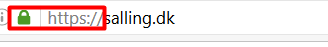 How To Set Up SSL For Your Magento Webshop If You Don't Have a Developer Yet1