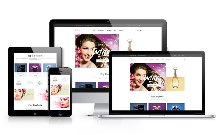 What are the Best Websites to Download Free & Paid Prestashop Themes? olay prestashop theme