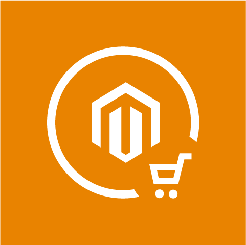 Magento store.belvg.com