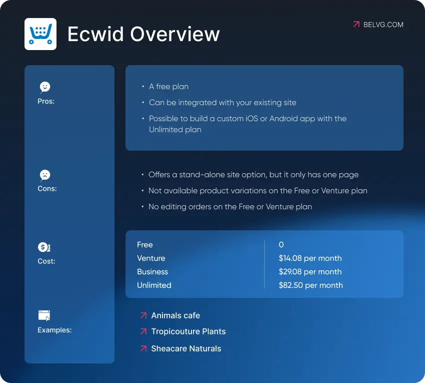 Ecwid Overview