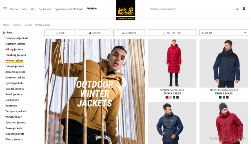 Newest Web Design Trends