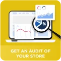 Get an audit of your store