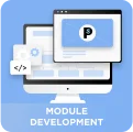 Module development