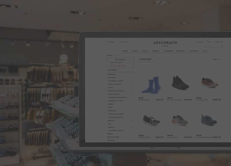 aeschbach-chaussures-preview