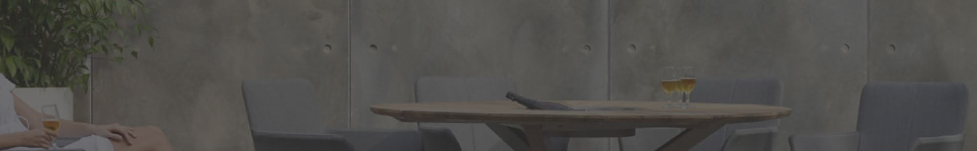 Banner Blaha