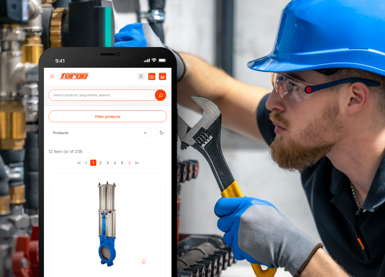 Shopware upgrade for Fergo Shop